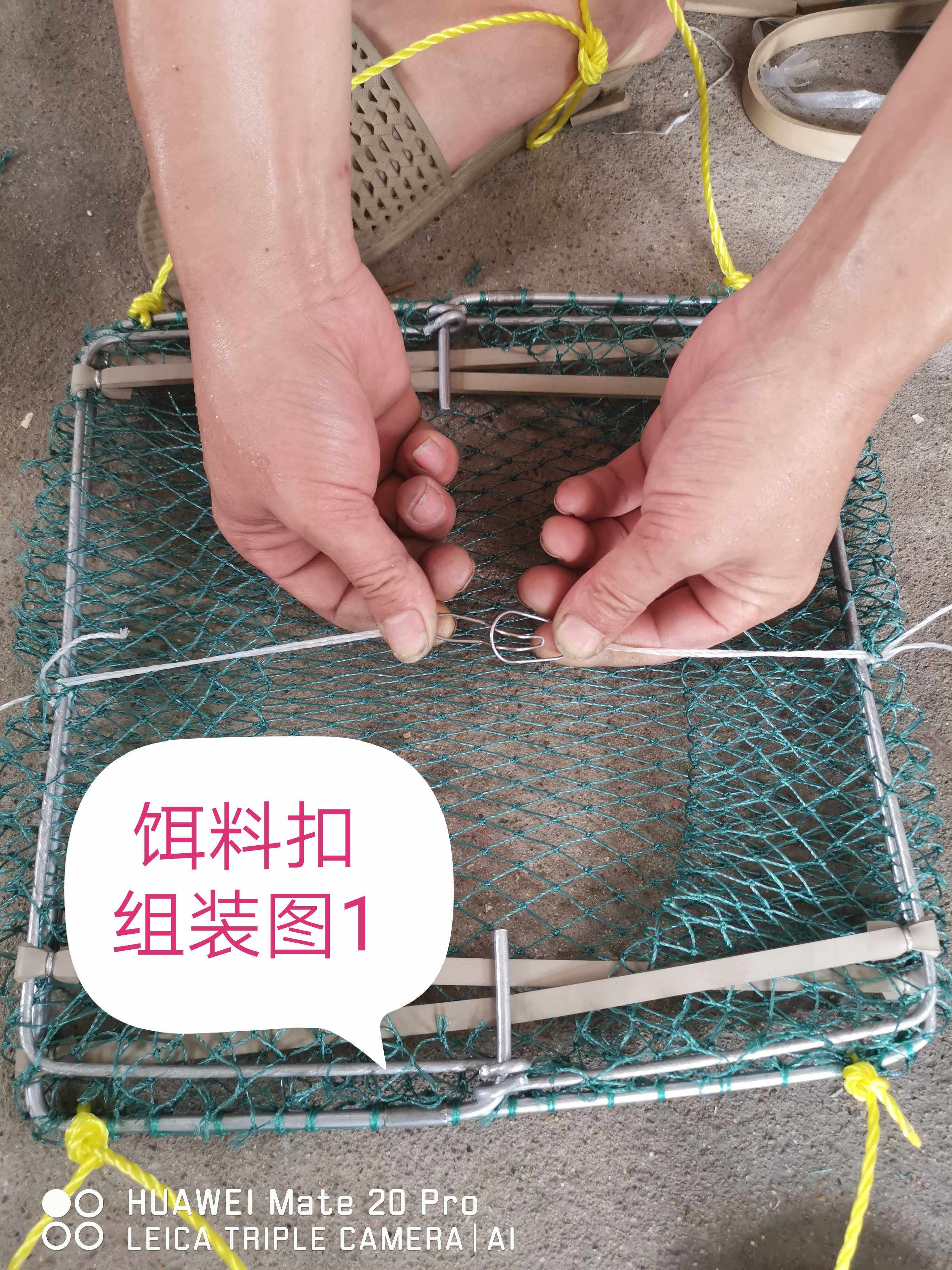 捕青蟹用什么地笼,捕螃蟹地笼什么样的好,不怕螃蟹的地笼(第11页)_大山谷图库