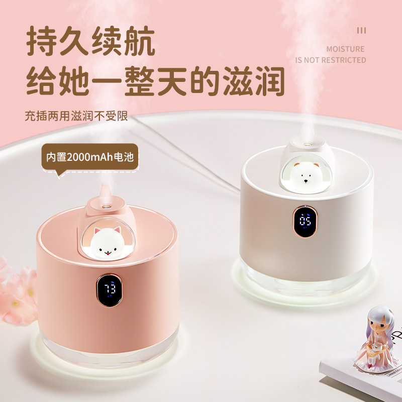生日礼物女生送给闺蜜朋友女孩毕业送老师实用小众高级感的加湿器