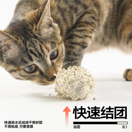 Pidan cat litter tofu bentonite cassava mixed litter 2.4kg odor-absorbing clumping preserved egg cat litter cat supplies
