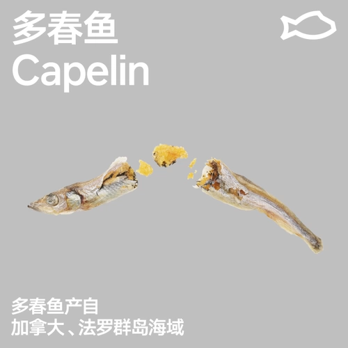 Пидан маленькая рыба сушеная пружинная рыба замороженная сушена