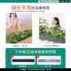 Simulated green plants and landscaping combinations, tropical plant partitions, flower troughs, flower boxes, bionic artificial flowers, indoor landscape decoration