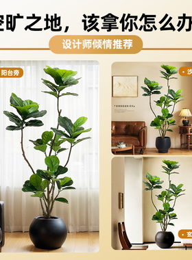 琴叶榕仿真绿植电视柜中古风客厅