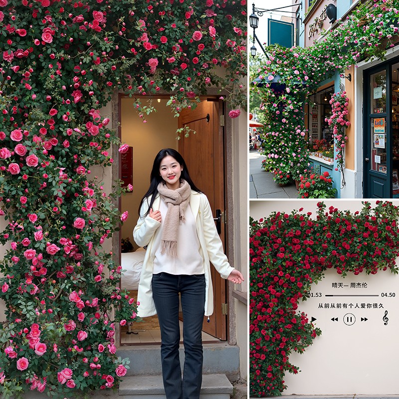 玫瑰花墙装饰仿真花藤造景空调管道假花遮挡网红打卡瀑布花背景墙 - 图2