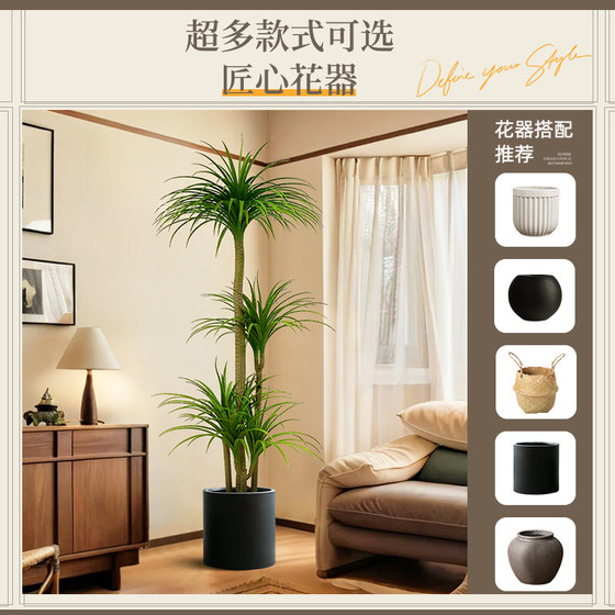 Pretend green plant decoration simulated dragon blood tree high-end light luxury