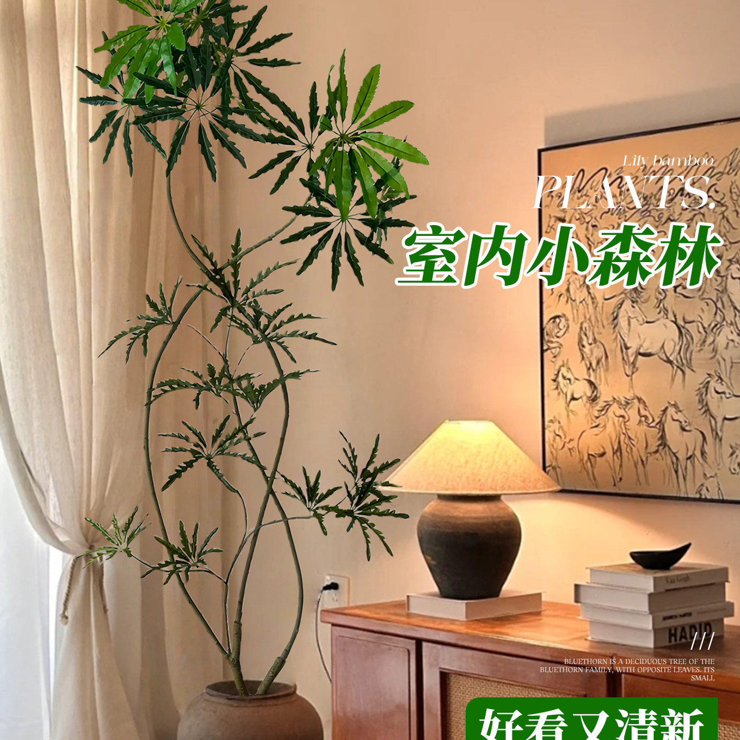孔雀木客厅绿植盆栽高级感室内大型植物办公室好养高端大气上档次,淘宝优惠券,粉丝福利购,淘宝优惠卷