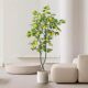 Simulated Lemon Tree Green Planting Pot Aeromobil