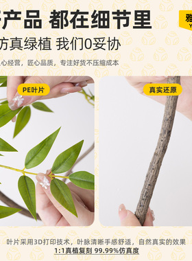 仿真绿植南天竹室内客厅绿色植物