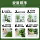 Simulated green plant landscaping combination decorative fake plants