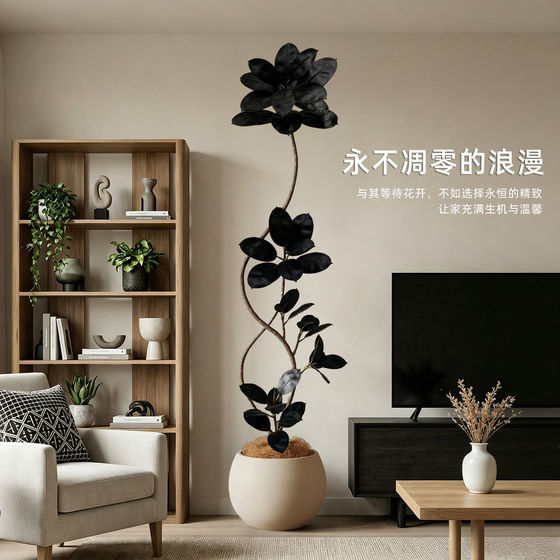 Simulated green plants and black diamond next to the TV cabinet in the indoor living room