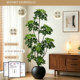 Simulated green plant duck foot wood high-end light luxury