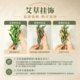 Dragon Boat Festival decoration pendant fresh mugwort pendant