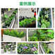 Simulated green plant combination ornaments flower design
