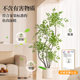 Simulated nandina bamboo indoor potted plants, fake green plants for decoration, large floor-standing ornaments, light luxury, anti-real green plants for living room