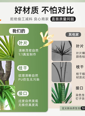 龙血树仿真绿植室内沙发旁客厅大型落地摆件龙须树假植物仿生盆栽