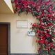 Simulated rose vine internet celebrity background