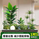 Simulated plant landscaping balcony landscape layout indoor