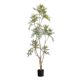 The top ten contributions of simulated green plant potted plants in indoor living rooms