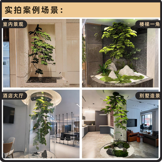 Simulated hanging pine tree welcoming pine podocarpus landscaping