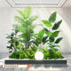 Fake green plants, landscape combination, high-end light luxury ornaments