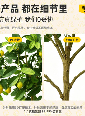 仿真植物柠檬树落地盆栽仿生绿植