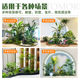 Large indoor landscaping combination of simulated green plants