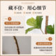 Green plant simulated bread tree indoor high-end potted plant
