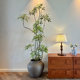 Simulation green plants top ten contribution trees ancient style indoor high-end light luxury fake plants living room floor decoration ornaments