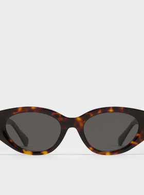 女款墨镜太阳镜时尚潮流遮阳镜防强光紫外线板材框同款25新款AN E