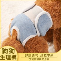 Pooch full cotton physiological pants Aunt girl Dog Womens Mini Dog Hygiene Anti Harassing Teddy Menstrual Pants not falling