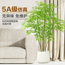 Simulation Green Plant South Tianzhu Indoor Decoration Plant Fake Potted Plant Swing Piece Home Ground Tree Bionic Light Extravagant and Blossom View