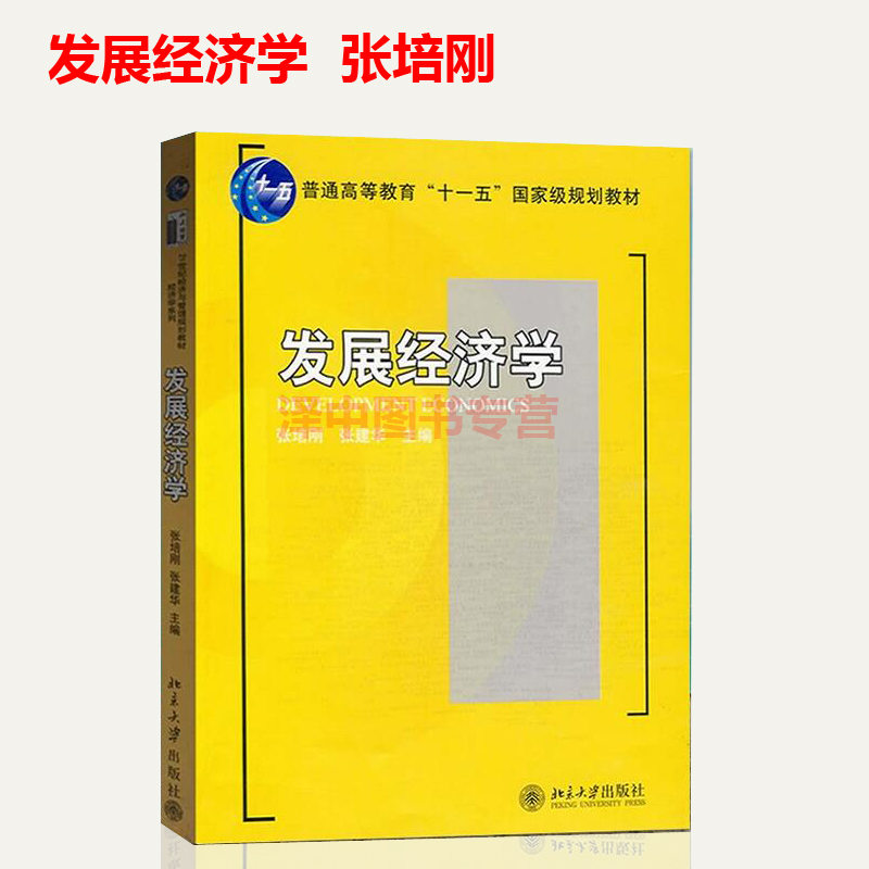 正版现货 发展经济学 张培刚/张建华 普通高等教育十一五国家级规划教材 经济学教材 北京大学出版社 9787301145173 - 图2