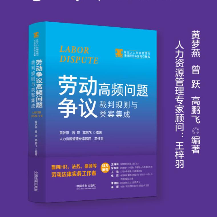 2023新书劳动争议高频问题裁判规则与类案集成黄梦燕曾跃等企业人力资源管理与法律顾问实务指引丛书 HR法务律师法律实务书-图2