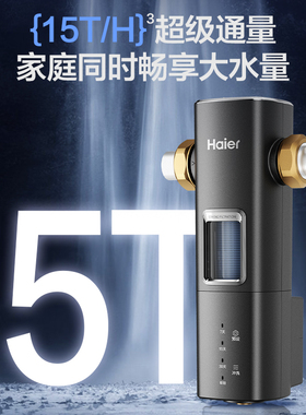 海尔前置过滤器银河Pro