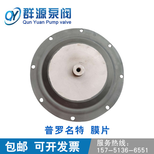 普罗名特膜片ProM'i'nen't计量泵单向止回阀隔膜PTFE - 图1