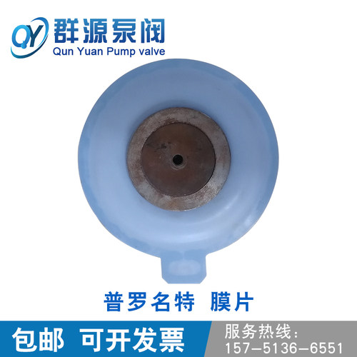 普罗名特膜片ProM'i'nen't计量泵单向止回阀隔膜PTFE - 图2