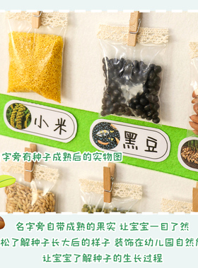 幼儿园环创装饰主题墙面区域区角材料布置种子中大班植物自然角