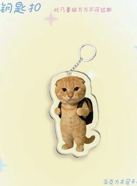 圆头耄耋新款亚克力宠物钥匙扣可爱猫猫狗狗挂坠卡通同学哈吉米