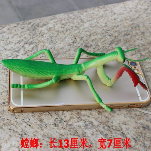 大号软胶仿真昆虫玩具动物模型蚂蚁蝎子蜘蛛蝴蝶蜈蚣儿童认知套装 - 图1