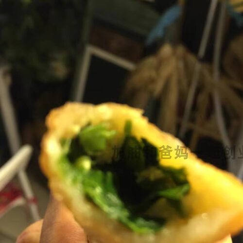 苏北特产春卷 爽口素馅春卷 煎炸春卷速冻食品500g 13只/包 - 图3