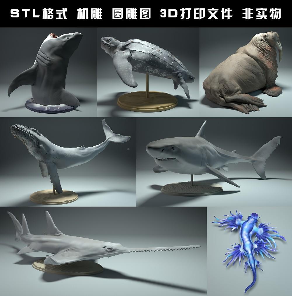 海洋生物动物鲸鱼鲨鱼海龟海象圆雕图STL文件3D打印模型图纸合集 - 图0