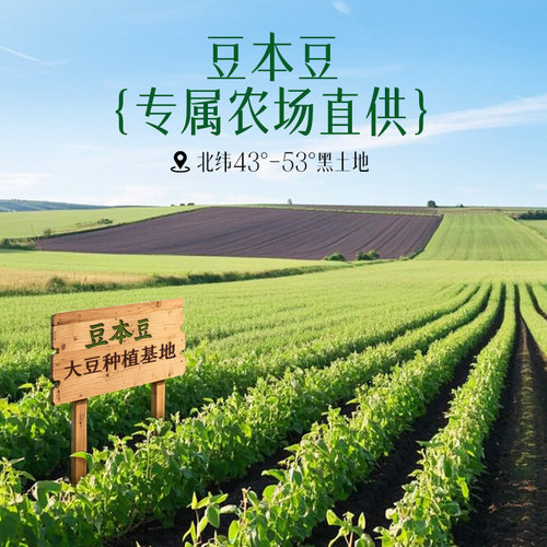 豆本豆茉莉豆奶250ml*16盒营养健康植物蛋白每日早餐代餐奶饮料 - 图3