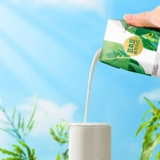 豆本豆 Органические черные бобовые молоко 250 мл*12 коробок цельной коробки с белком растительного белка питание на завтрак соевое молоко