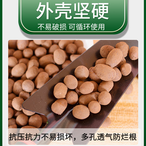 陶粒垫底水培多肉种植营养养花填盆栽通用园艺陶土颗粒透气铺面石 - 图1
