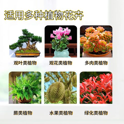 黑法师缓释肥盆栽多头老桩植物多肉全元素多效缓释养花卉专用肥料 - 图2