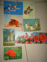 8 of 8 Zhangs 1975 annual calendar cards