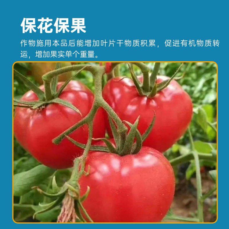 彩乐植鱼蛋白水溶肥氨基酸瓜果蔬菜花卉通用叶面农用营养液生根剂,淘宝优惠券,粉丝福利购,淘宝优惠卷