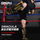 Muay Thai leg protection for children and adults - 5 years warranty