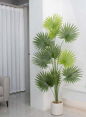 北欧风仿真植物蒲葵仿生盆栽假绿植装饰室内客厅摆件落地室内盆景