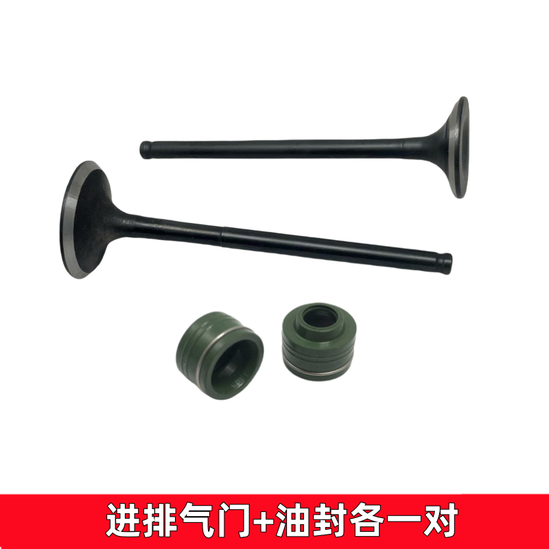 适用新大洲本田CBF150R进气门排气门油封SDH150-25/27进排气门 - 图0