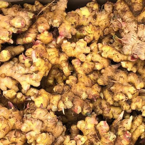 新鲜现挖云南小黄姜生姜9斤月子姜姜母新鲜小黄姜包邮批发 - 图1